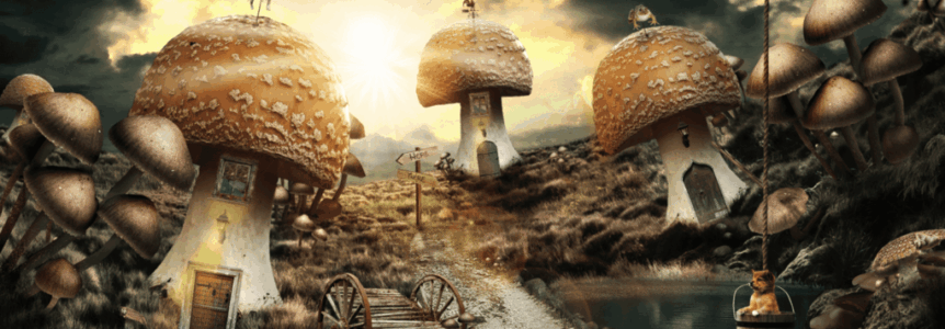 Mushroom Jill and the Little Things