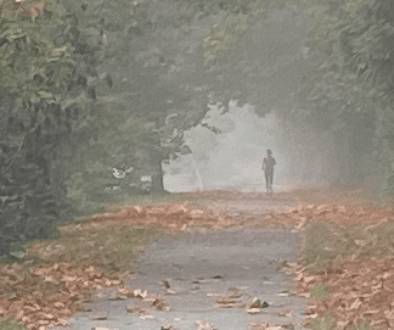 October Surprise